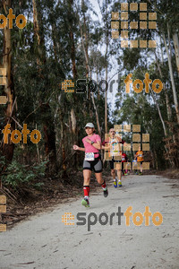 Esportfoto Fotos de MVV'14 Marató Vies Verdes Girona Ruta del Carrilet 1392565036_5650.jpg Foto: Jordi Borràs