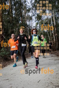 Esportfoto Fotos de MVV'14 Marató Vies Verdes Girona Ruta del Carrilet 1392567610_5788.jpg Foto: Jordi Borràs