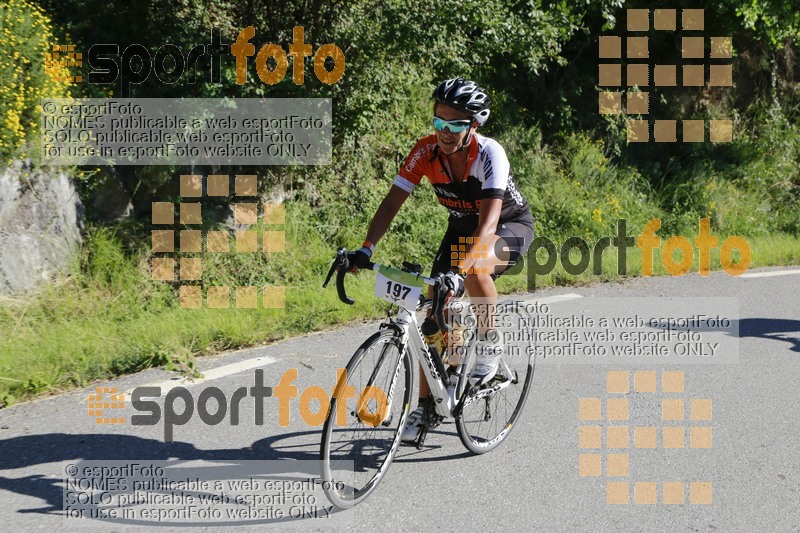 Esport Foto - Esportfoto .CAT - Fotos de III Marxa Cicloturista Jufré Riuprimer - Dorsal [197] -   1435615511_0971.jpg