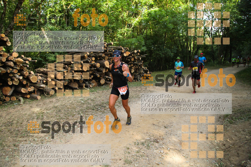 Esport Foto - Esportfoto .CAT - Fotos de Trail Fonts del Montseny - Viladrau - 2015 - Dorsal [447] -   1436106126_359.jpg