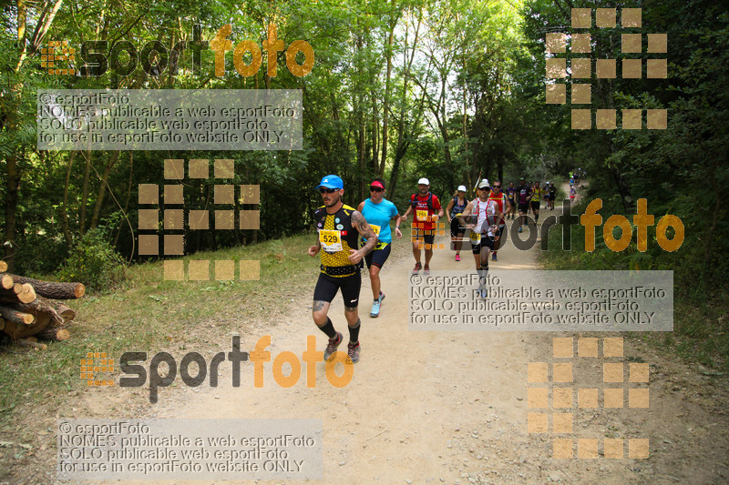Esport Foto - Esportfoto .CAT - Fotos de Trail Fonts del Montseny - Viladrau - 2015 - Dorsal [529] -   1436106372_459.jpg