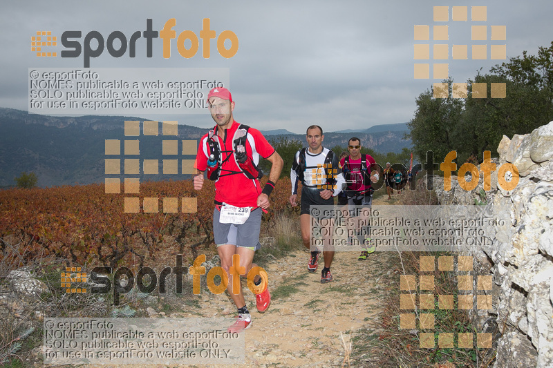 Esport Foto - Esportfoto .CAT - Fotos de UT de la Serra de Montsant 2015 - Dorsal [343] -   1445190334_2169.jpg