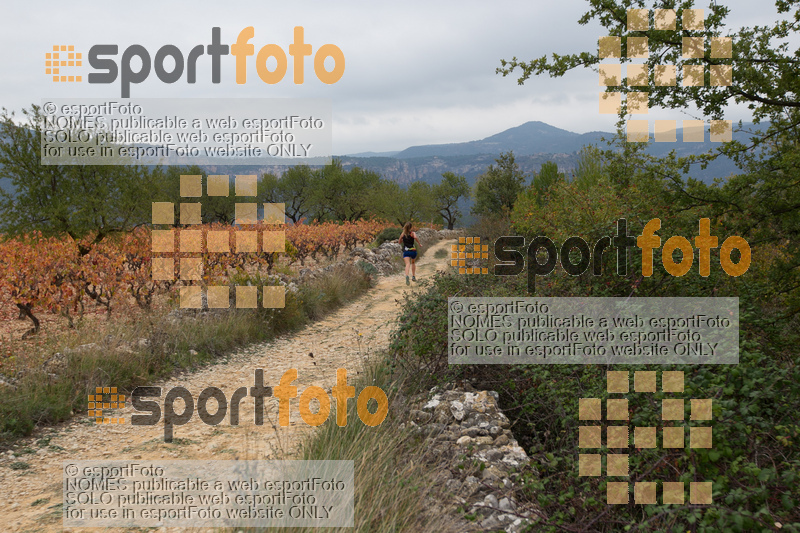 Esport Foto - Esportfoto .CAT - Fotos de UT de la Serra de Montsant 2015 - Dorsal [933] -   1445191406_2746.jpg