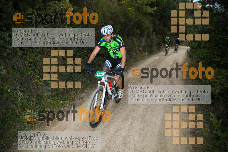 Esport Foto - Esportfoto .CAT - Fotos de 2015 Montseny 360 - Dorsal [290] -   1445189668_00421.jpg