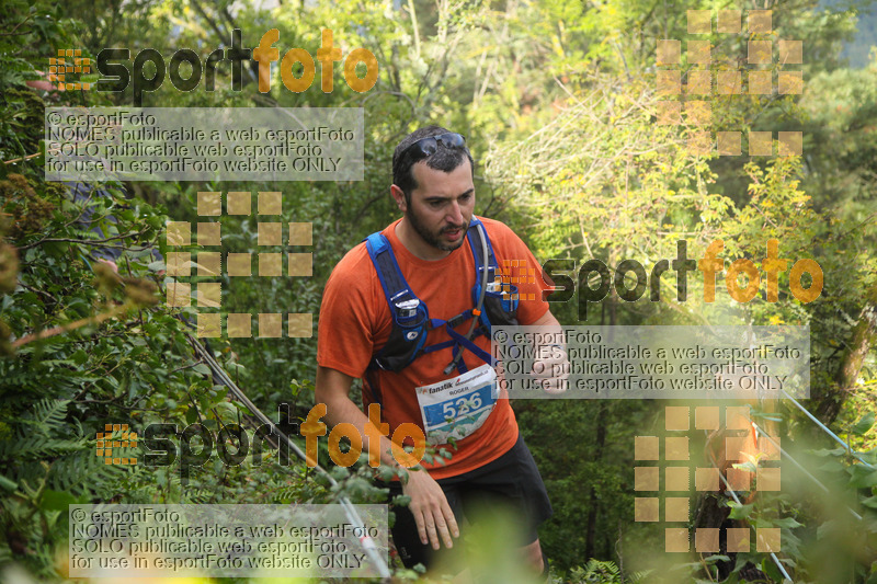 Esport Foto - Esportfoto .CAT - Fotos de IV Trail del Bisaura 2016 - Dorsal [526] -   1476573015_505.jpg