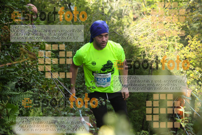 Esport Foto - Esportfoto .CAT - Fotos de IV Trail del Bisaura 2016 - Dorsal [504] -   1476573912_539.jpg