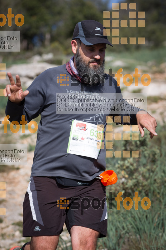 esportFOTO - 2017 Ultra Trail Muntanyes de la Costa Daurada [1493540356_0600.jpg]