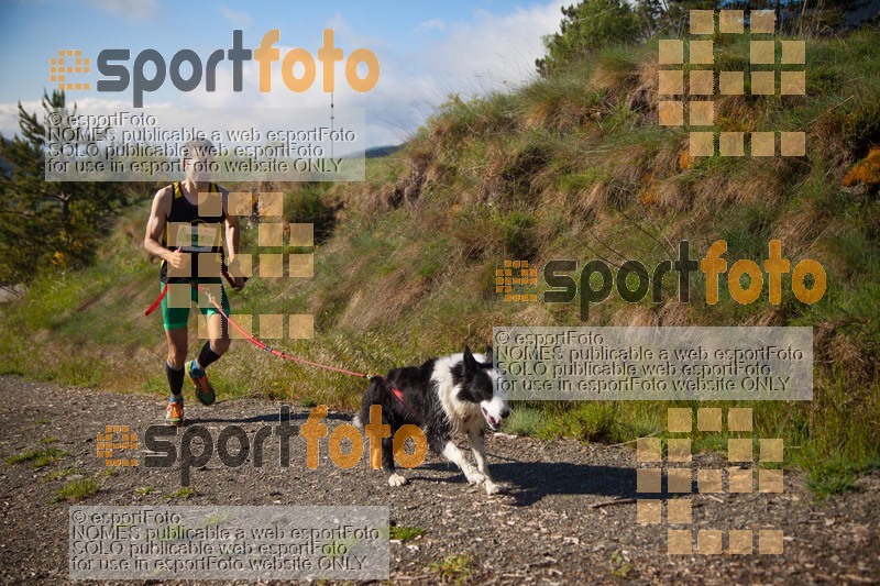Esport Foto - Esportfoto .CAT - Fotos de Canicross Batega al Bac 2017 - Dorsal [931] -   1495373401_00121.jpg