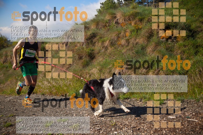 Esport Foto - Esportfoto .CAT - Fotos de Canicross Batega al Bac 2017 - Dorsal [931] -   1495373404_00122.jpg