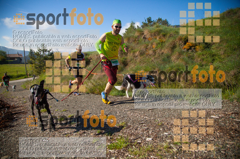Esport Foto - Esportfoto .CAT - Fotos de Canicross Batega al Bac 2017 - Dorsal [913] -   1495373415_00127.jpg