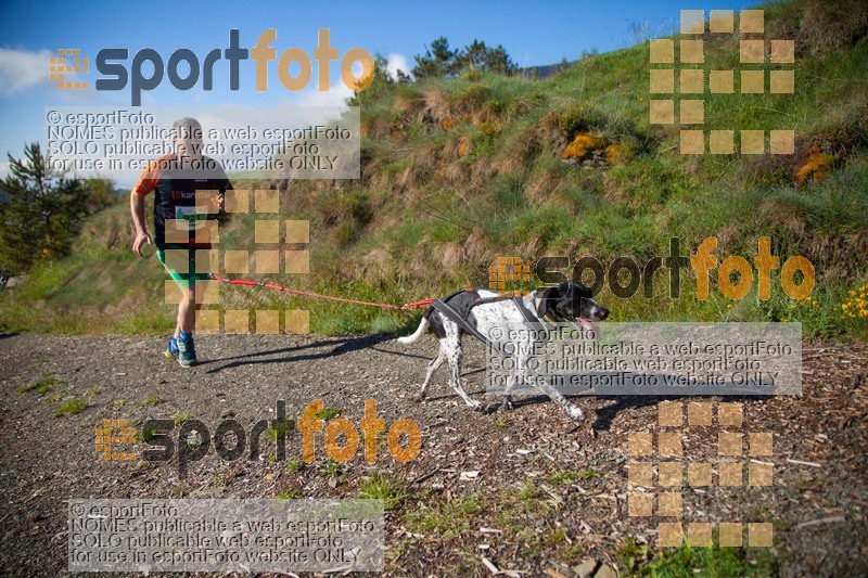 Esport Foto - Esportfoto .CAT - Fotos de Canicross Batega al Bac 2017 - Dorsal [921] -   1495373422_00130.jpg