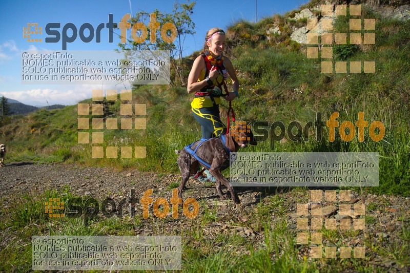 Esport Foto - Esportfoto .CAT - Fotos de Canicross Batega al Bac 2017 - Dorsal [929] -   1495374603_00141.jpg