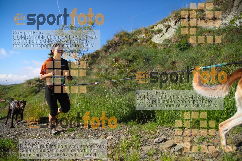 Esport Foto - Esportfoto .CAT - Fotos de Canicross Batega al Bac 2017 - Dorsal [925] -   1495374608_00143.jpg