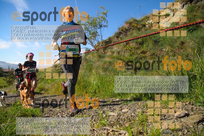 Esport Foto - Esportfoto .CAT - Fotos de Canicross Batega al Bac 2017 - Dorsal [905] -   1495374612_00145.jpg
