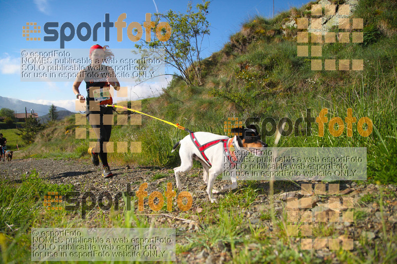 Esport Foto - Esportfoto .CAT - Fotos de Canicross Batega al Bac 2017 - Dorsal [904] -   1495374630_00153.jpg