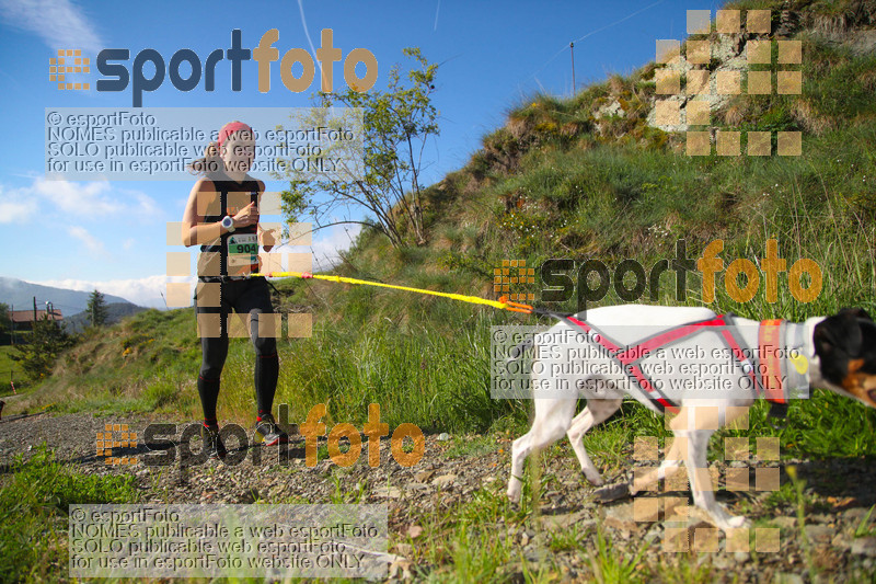 Esport Foto - Esportfoto .CAT - Fotos de Canicross Batega al Bac 2017 - Dorsal [904] -   1495374633_00154.jpg