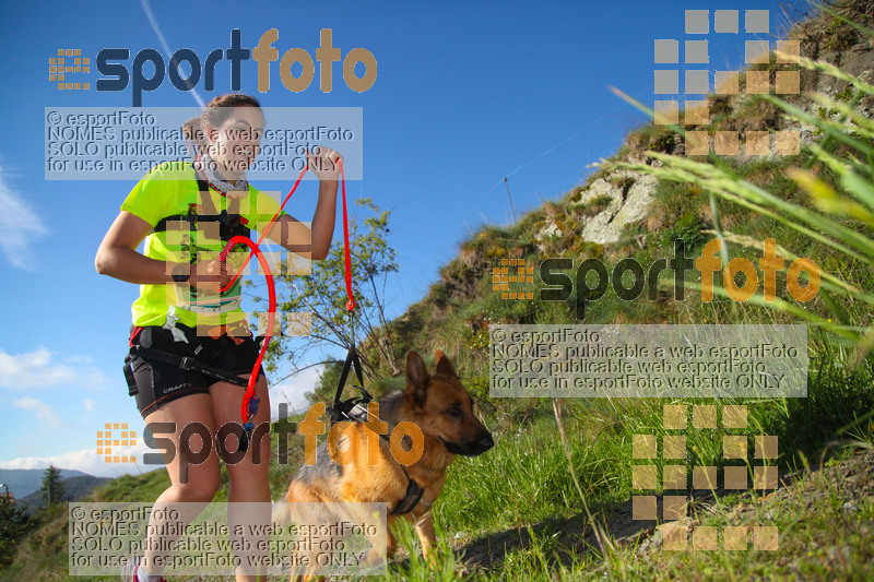 Esport Foto - Esportfoto .CAT - Fotos de Canicross Batega al Bac 2017 - Dorsal [927] -   1495374649_00161.jpg