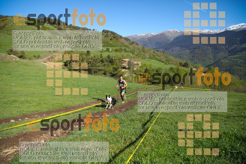Esport Foto - Esportfoto .CAT - Fotos de Canicross Batega al Bac 2017 - Dorsal [931] -   1495374663_00167.jpg