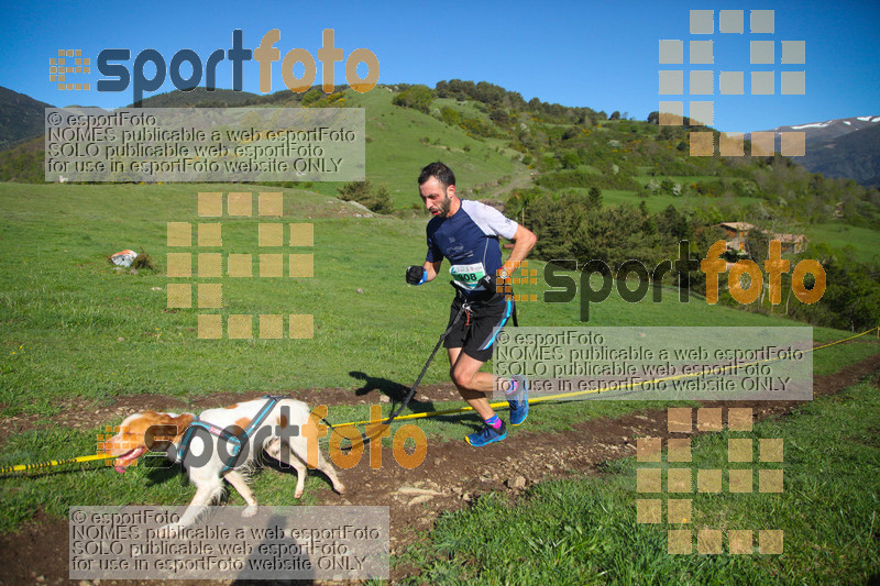 Esport Foto - Esportfoto .CAT - Fotos de Canicross Batega al Bac 2017 - Dorsal [908] -   1495374679_00174.jpg