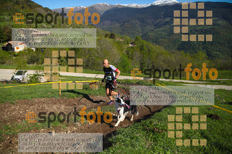 Esport Foto - Esportfoto .CAT - Fotos de Canicross Batega al Bac 2017 - Dorsal [910] -   1495374684_00176.jpg