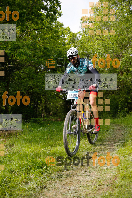 Esport Foto - Esportfoto .CAT - Fotos de 26a Cabrerès BTT - Dorsal [1480] -   1527495468_00624.jpg