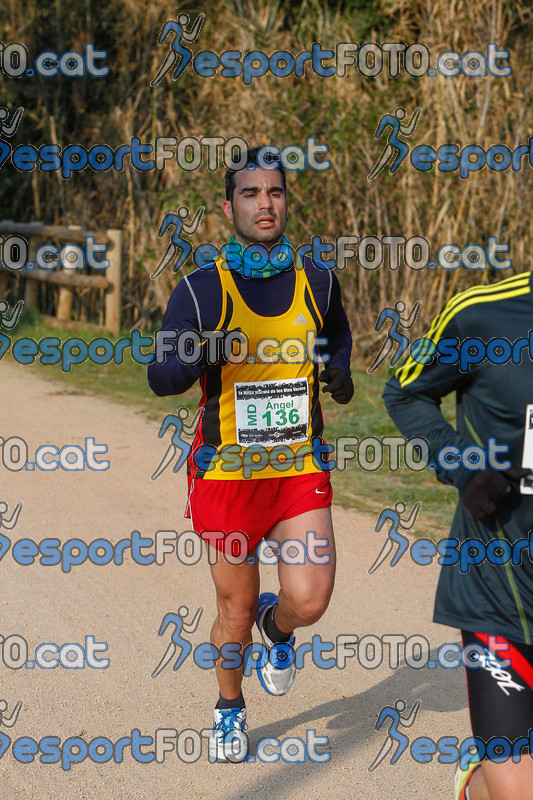 Esport Foto - Esportfoto .CAT - Fotos de Mitja Marató de les Vies Verdes 2013 (MD) - Dorsal [136] -   1361733792_6346.jpg