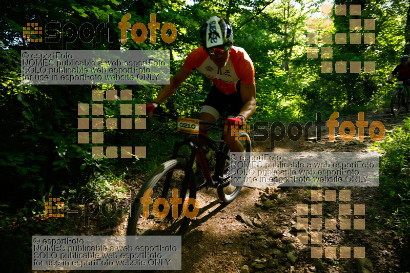 Esport Foto - Esportfoto .CAT - Fotos de 28a Edició Cabrerès BTT - Dorsal [210] -   1653844365_0447.jpg