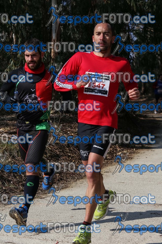 Esport Foto - Esportfoto .CAT - Fotos de Marató Vies Verdes 2013 (MRT) - Dorsal [0] -   1361738617_5502.jpg