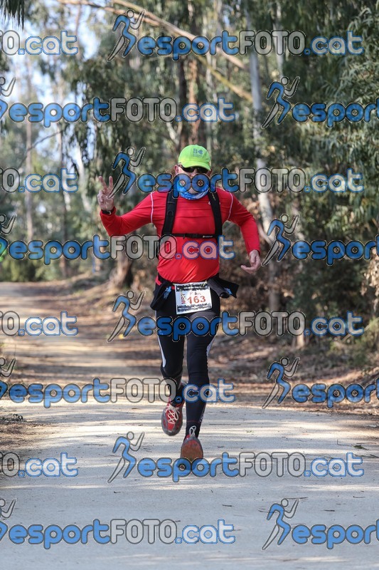 Esport Foto - Esportfoto .CAT - Fotos de Marató Vies Verdes 2013 (MRT) - Dorsal [163] -   1361739252_5670.jpg