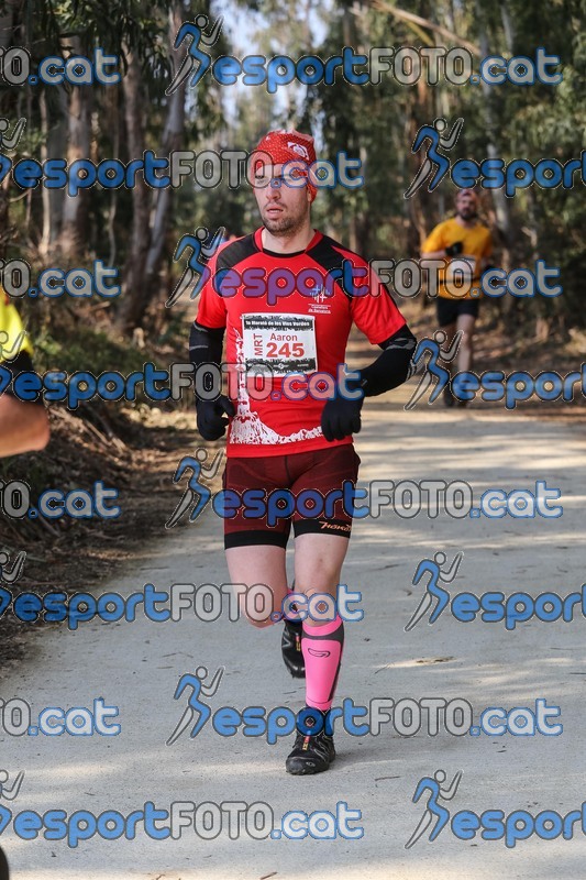 Esport Foto - Esportfoto .CAT - Fotos de Marató Vies Verdes 2013 (MRT) - Dorsal [245] -   1361739649_5889.jpg