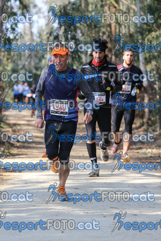 Esport Foto - Esportfoto .CAT - Fotos de Marató Vies Verdes 2013 (MRT) - Dorsal [290] -   1361740002_5920.jpg
