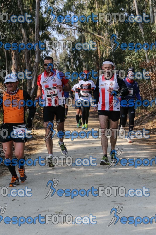 Esport Foto - Esportfoto .CAT - Fotos de Marató Vies Verdes 2013 (MRT) - Dorsal [0] -   1361740186_6005.jpg