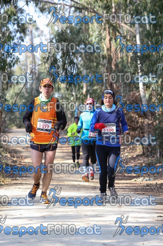 Esport Foto - Esportfoto .CAT - Fotos de Marató Vies Verdes 2013 (MRT) - Dorsal [377] -   1361740595_6112.jpg