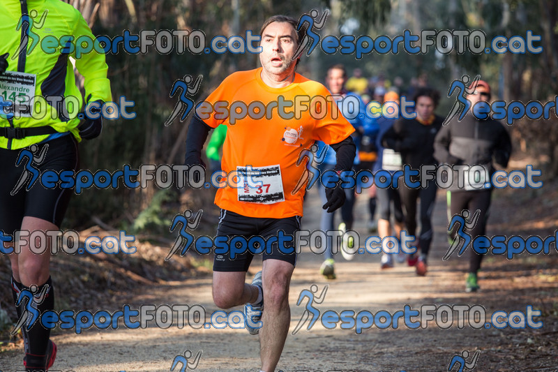 Esport Foto - Esportfoto .CAT - Fotos de Marató Vies Verdes 2013 (MRT) - Dorsal [37] -   1361786308_5211.jpg