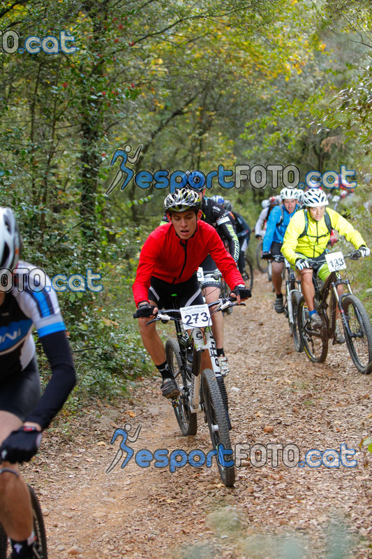 Esport Foto - Esportfoto .CAT - Fotos de VolcanoLimits Bike 2013 - Dorsal [273] -   1384109065_00630.jpg