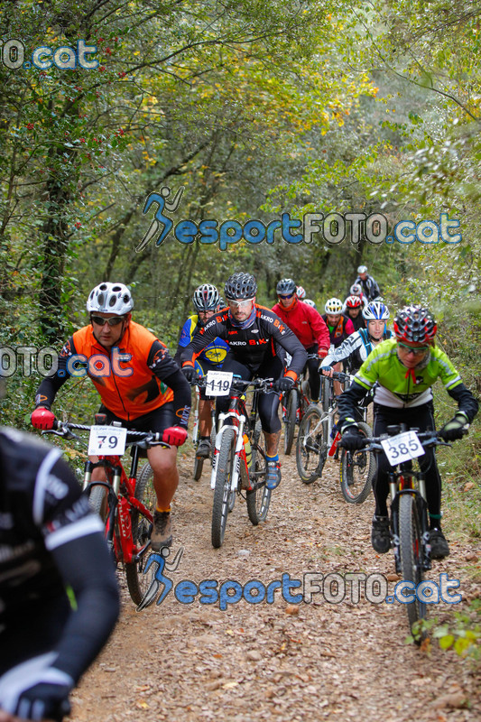 Esport Foto - Esportfoto .CAT - Fotos de VolcanoLimits Bike 2013 - Dorsal [119] -   1384109098_00650.jpg