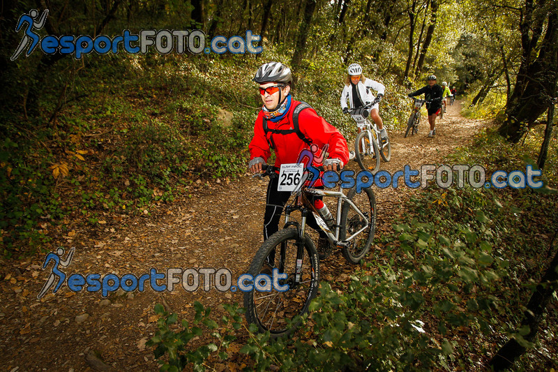 Esport Foto - Esportfoto .CAT - Fotos de VolcanoLimits Bike 2013 - Dorsal [256] -   1384109577_4628.jpg