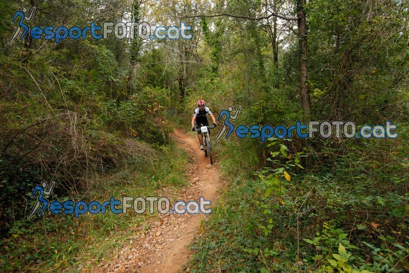 Esport Foto - Esportfoto .CAT - Fotos de VolcanoLimits Bike 2013 - Dorsal [286] -   1384122207_01277.jpg