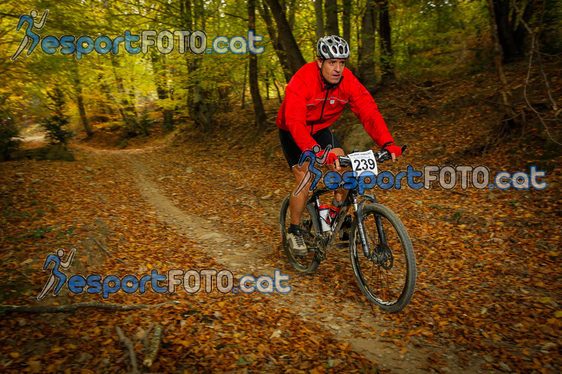 Esport Foto - Esportfoto .CAT - Fotos de VolcanoLimits Bike 2013 - Dorsal [239] -   1384123217_4821.jpg