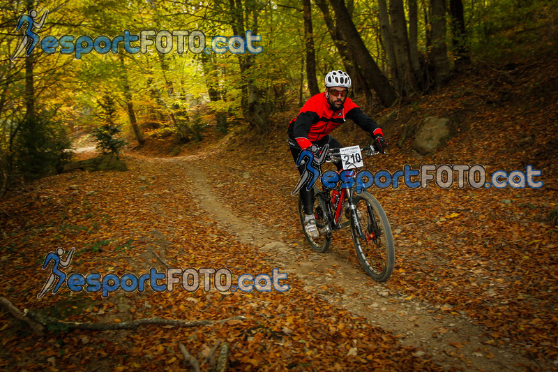 Esport Foto - Esportfoto .CAT - Fotos de VolcanoLimits Bike 2013 - Dorsal [210] -   1384123316_4876.jpg