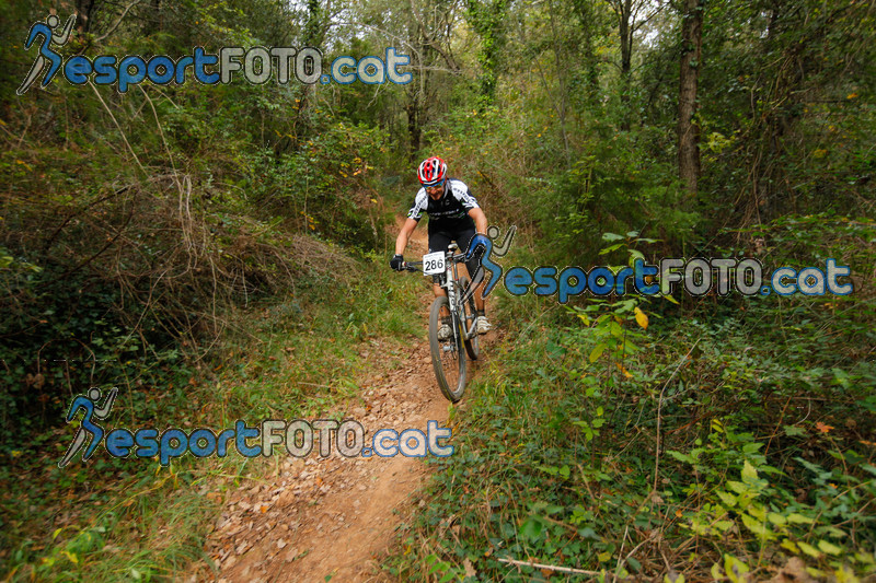 Esport Foto - Esportfoto .CAT - Fotos de VolcanoLimits Bike 2013 - Dorsal [286] -   1384123318_01279.jpg