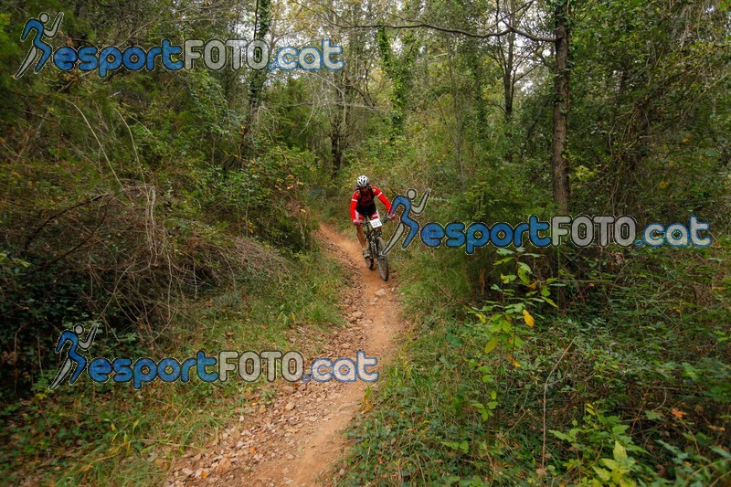 Esport Foto - Esportfoto .CAT - Fotos de VolcanoLimits Bike 2013 - Dorsal [221] -   1384123335_01287.jpg