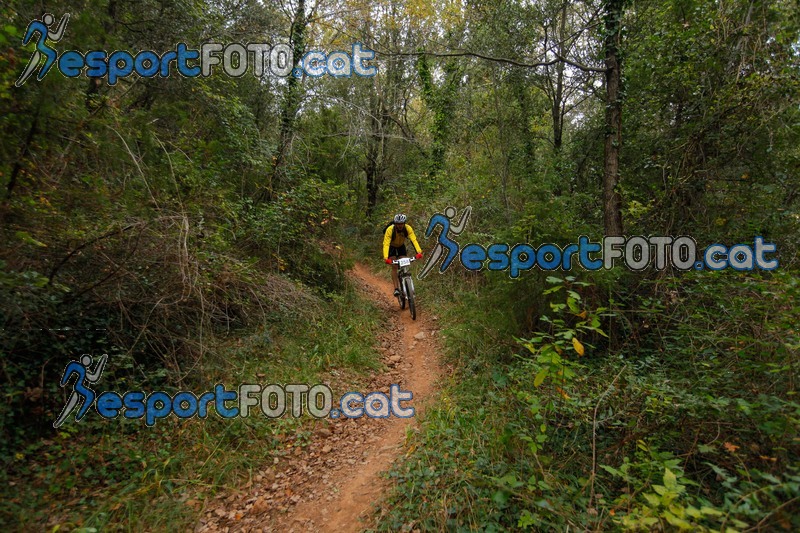 Esport Foto - Esportfoto .CAT - Fotos de VolcanoLimits Bike 2013 - Dorsal [258] -   1384123372_01304.jpg