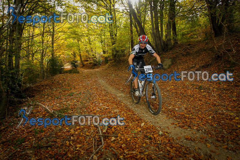 Esport Foto - Esportfoto .CAT - Fotos de VolcanoLimits Bike 2013 - Dorsal [286] -   1384124368_4770.jpg