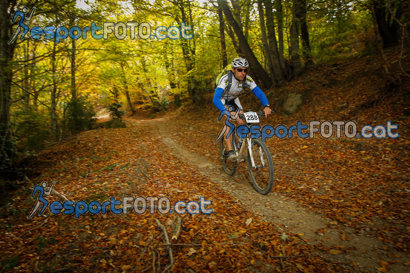 Esport Foto - Esportfoto .CAT - Fotos de VolcanoLimits Bike 2013 - Dorsal [288] -   1384124371_4772.jpg
