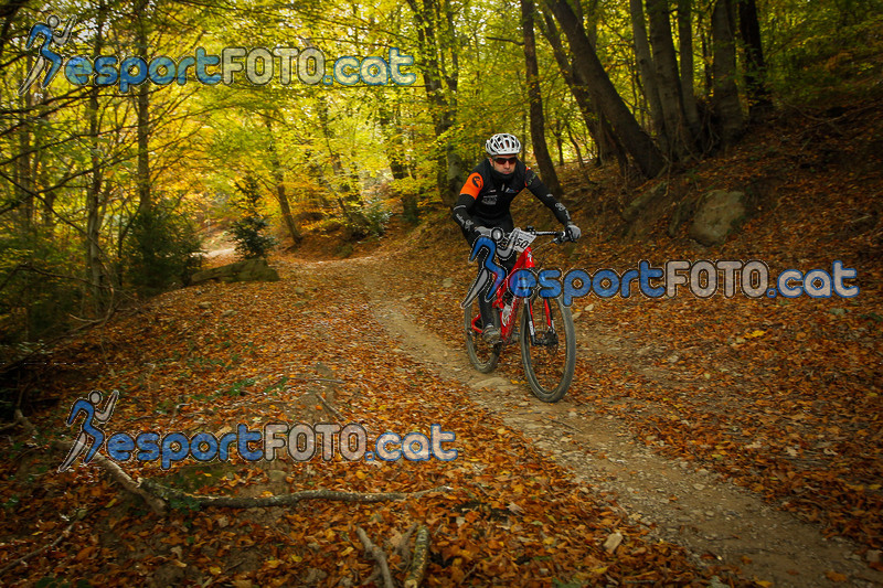 Esport Foto - Esportfoto .CAT - Fotos de VolcanoLimits Bike 2013 - Dorsal [350] -   1384124375_4774.jpg