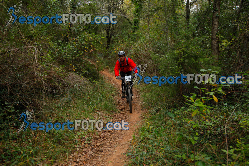 Esport Foto - Esportfoto .CAT - Fotos de VolcanoLimits Bike 2013 - Dorsal [256] -   1384124447_01325.jpg