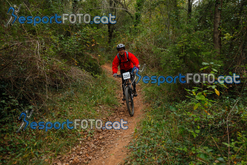 Esport Foto - Esportfoto .CAT - Fotos de VolcanoLimits Bike 2013 - Dorsal [256] -   1384124452_01326.jpg