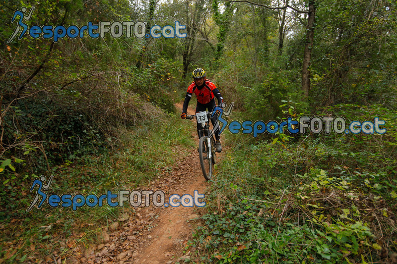 Esport Foto - Esportfoto .CAT - Fotos de VolcanoLimits Bike 2013 - Dorsal [73] -   1384124501_01348.jpg
