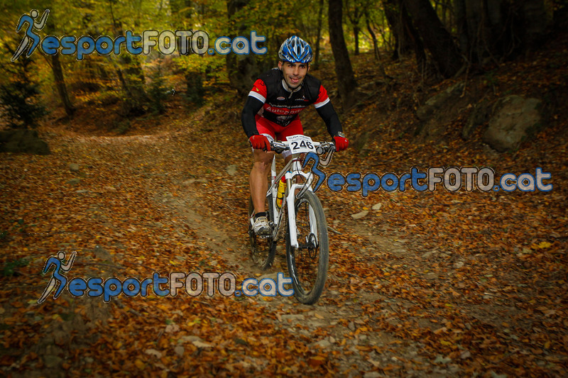 Esport Foto - Esportfoto .CAT - Fotos de VolcanoLimits Bike 2013 - Dorsal [246] -   1384125602_4689.jpg